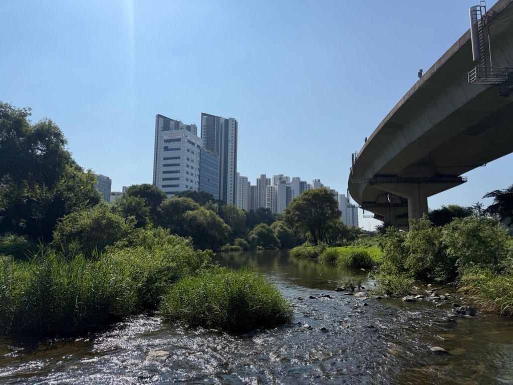 Shaded walking path along Cheonggyecheon stream in Seoul
