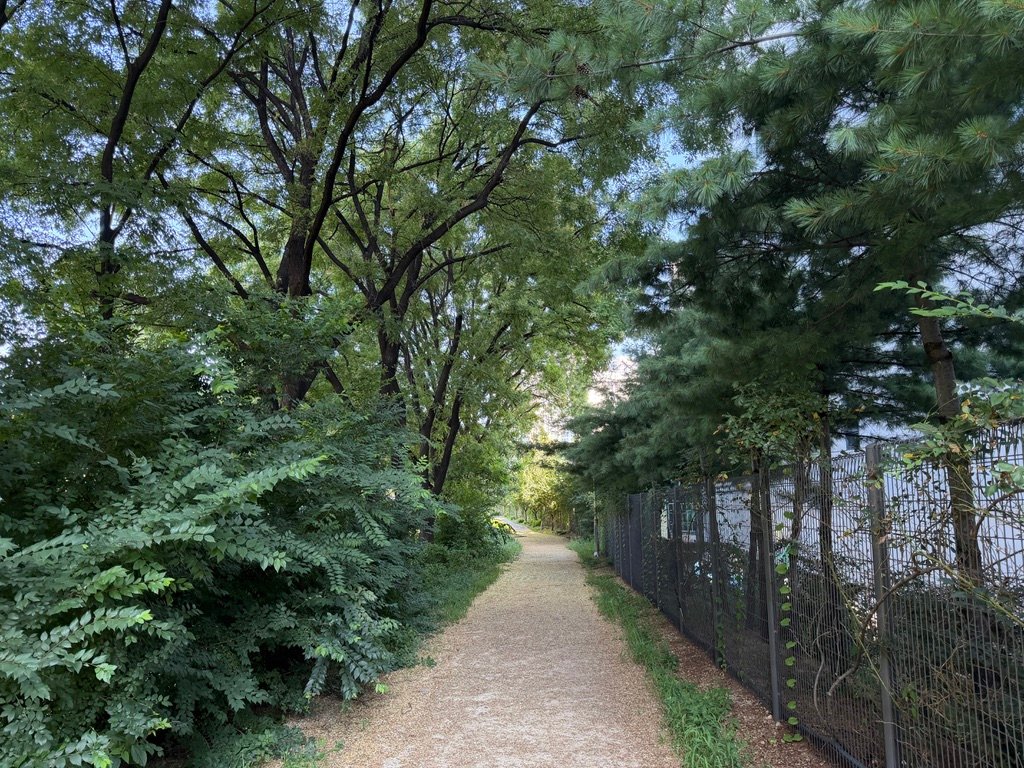 Cheonggyecheon stream walking path in Seoul on a hot summer day